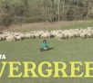 2018: l’Evergreen dell’Indie italiano